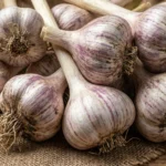 VIGOR COMPLETE (Tipo tardío de California)